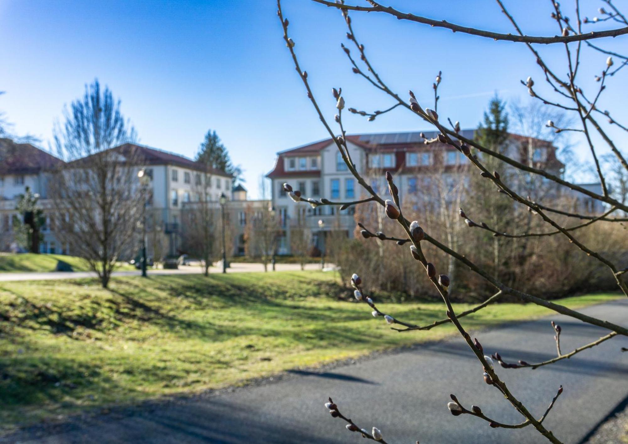 Naturresort & Spa Schindelbruch Stolberg  Exterior photo